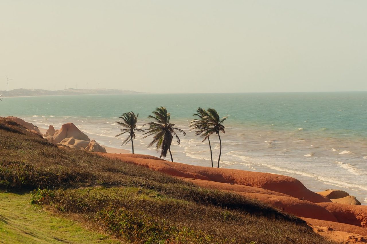Falésias, coqueiros e mar na Praia do Retirinho, em Aracati